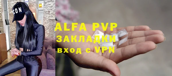 индика Зеленодольск