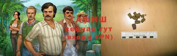индика Зеленодольск