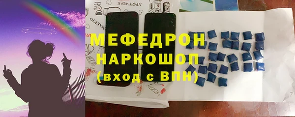 индика Зеленодольск