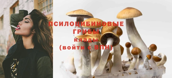 индика Зеленодольск