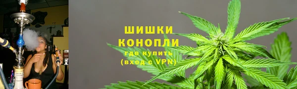 индика Зеленодольск