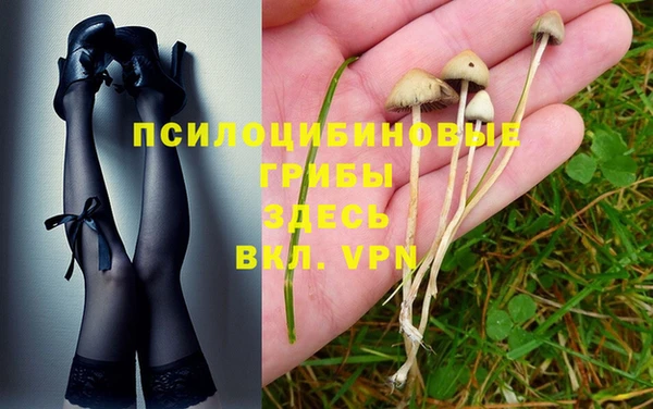 индика Зеленодольск