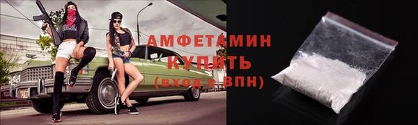 индика Зеленодольск