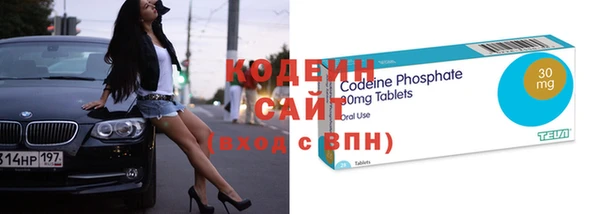 индика Зеленодольск