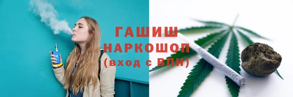 индика Зеленодольск