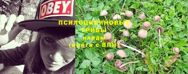 индика Зеленодольск