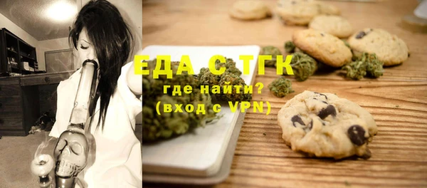 индика Зеленодольск