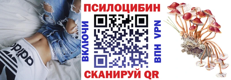 Купить где  Билибино  Галлюциногенные грибы Psilocybine cubensis 